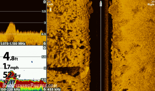 Standard sonar, Down Imaging and Side Imaging